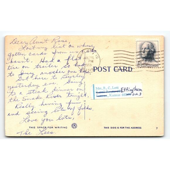 Vintage 1940s Linen Comic Postcard Life Is One Darn Thing Dogs - Picture 2 of 2